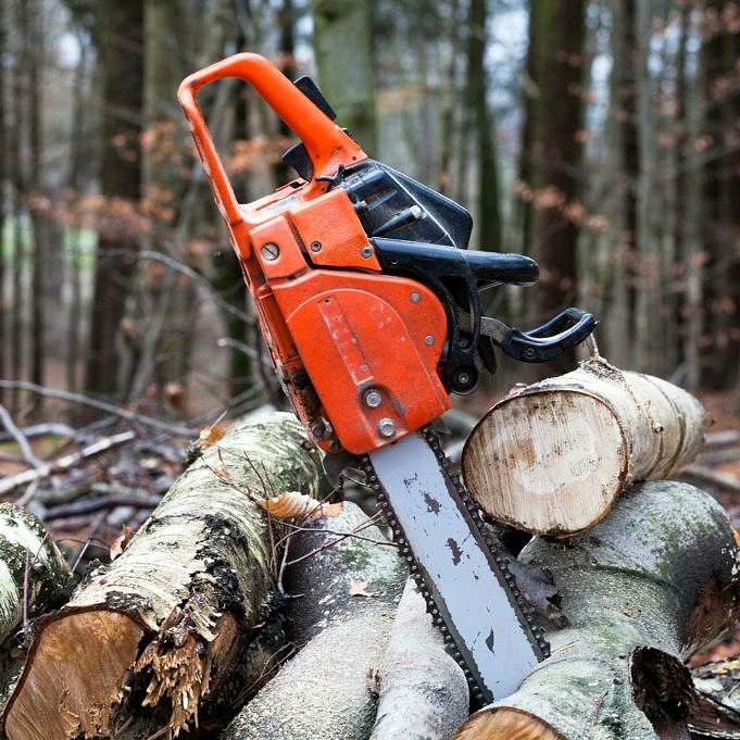 6 Types Of Chainsaws + A Buying Guide